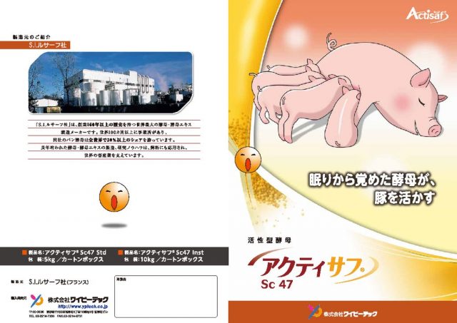 カタログのイメージ画像