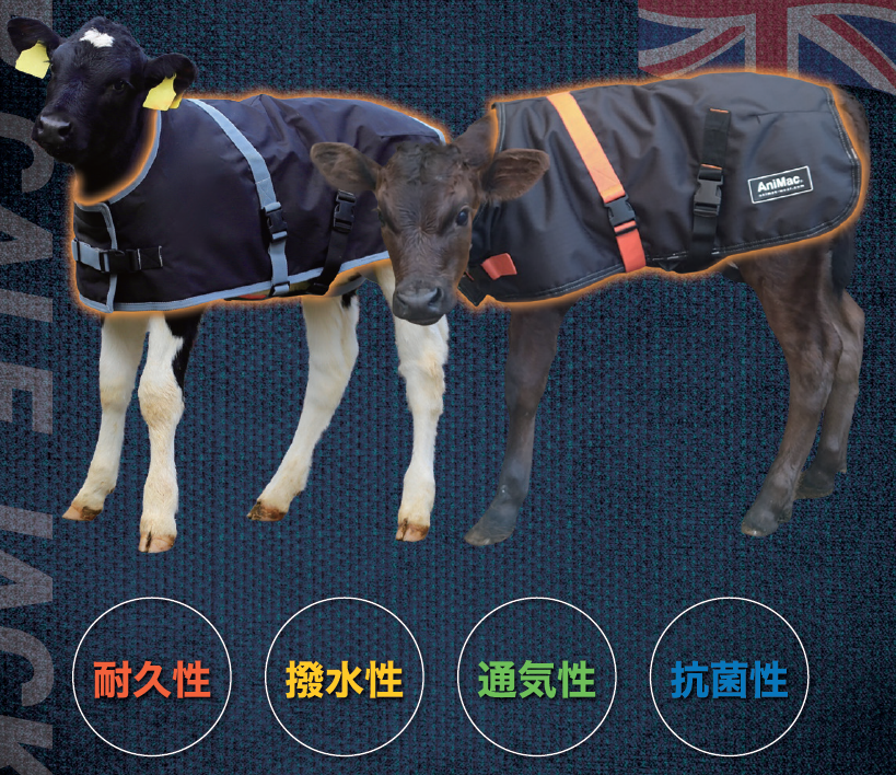 スーパーカーフジャケット 畜産 酪農 飼料 飼料添加物販売のワイピーテック
