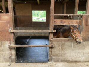 木曽馬の里木曽馬乗馬センター様