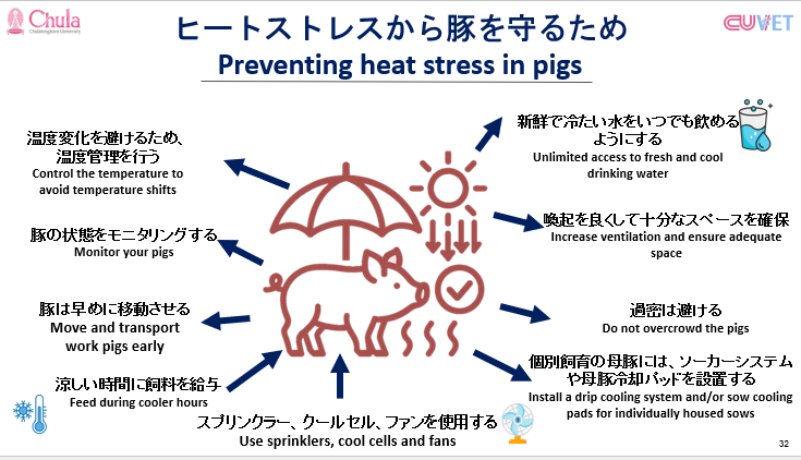 タイのヒートストレス～養豚編～