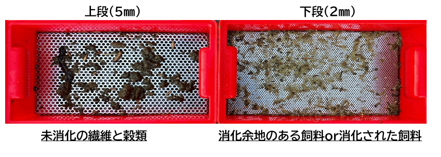 (続)糞のモニタリングしてみませんか?